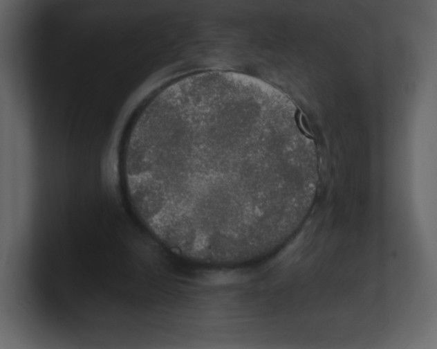 X0000100500246200807111149