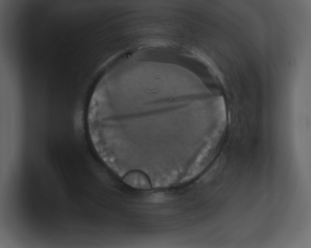 X0000100500249200807111149