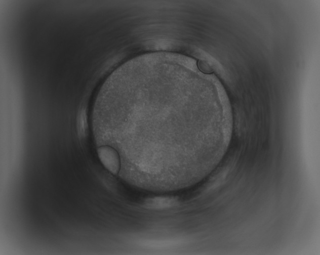 X0000100500251200807111149