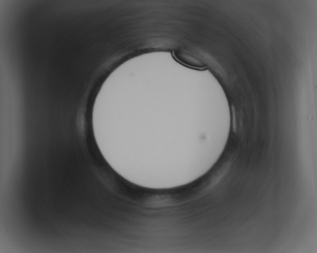 X0000100500252200807111149