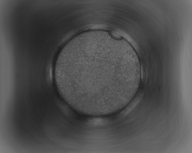 X0000100500253200807111149