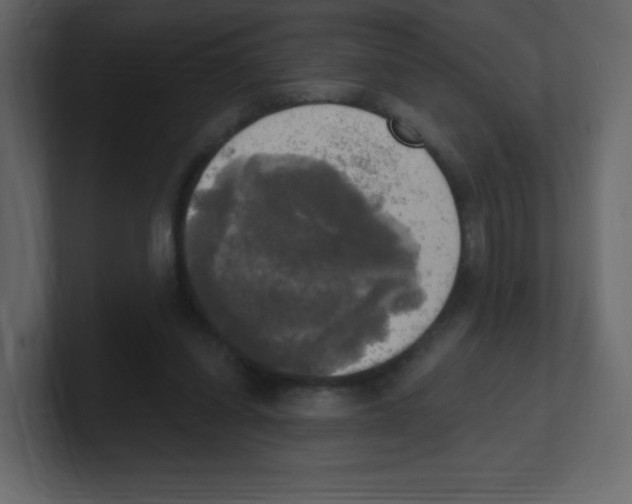 X0000100500254200807111149