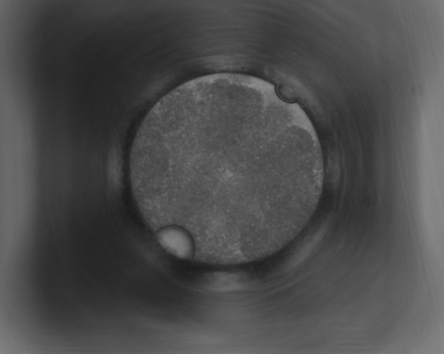 X0000100500255200807111149