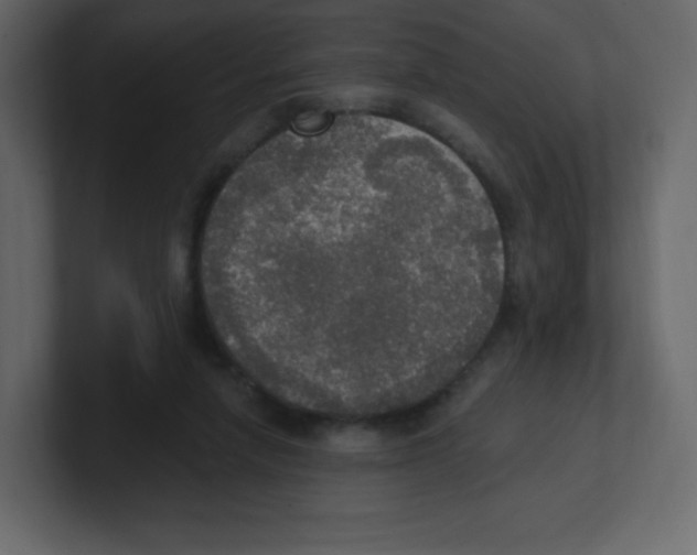 X0000100500258200807111149