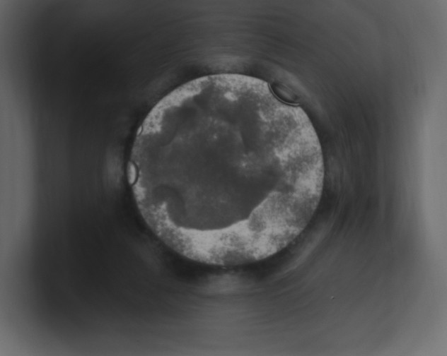 X0000100500259200807111149