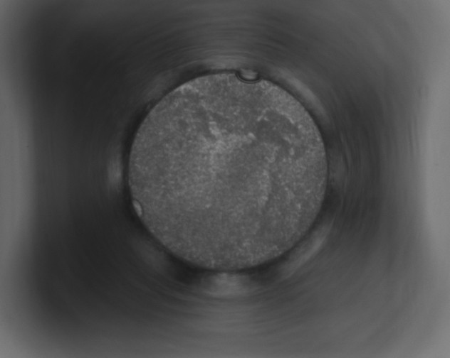 X0000100500261200807111149