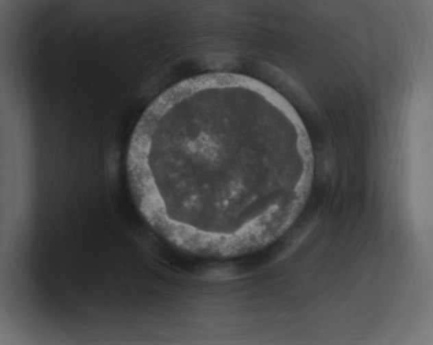 X0000100500263200807111149