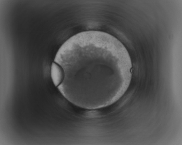 X0000100500269200807111149