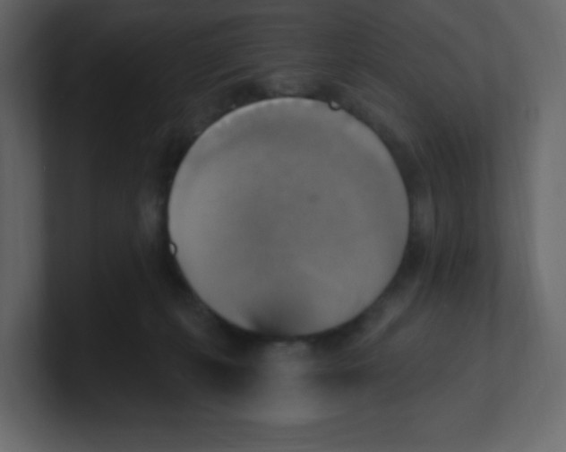 X0000100500271200807111149