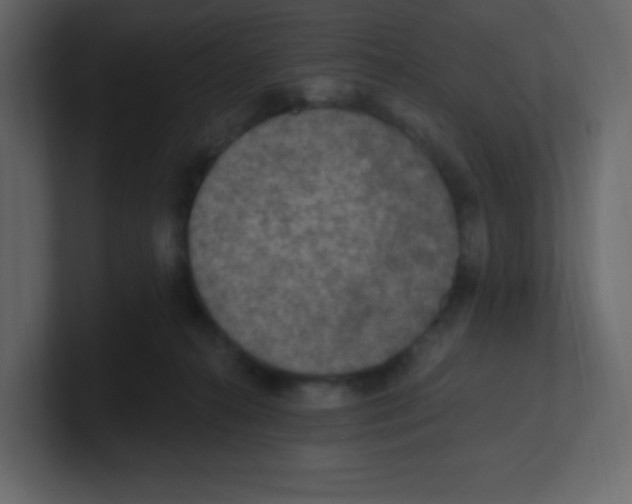 X0000100500272200807111149