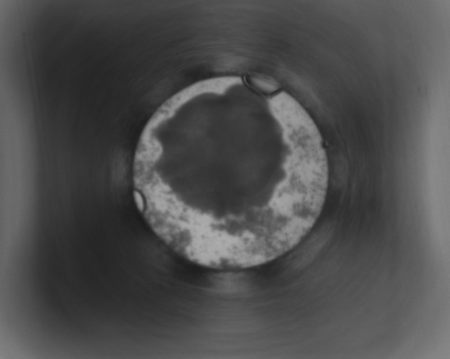 X0000100500273200807111149