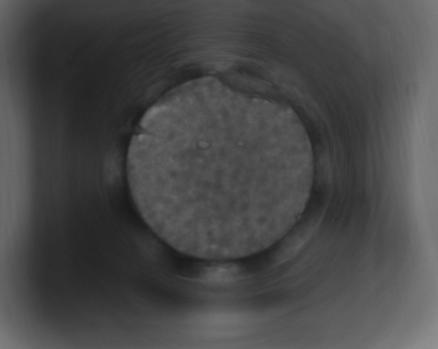 X0000100500274200807111149