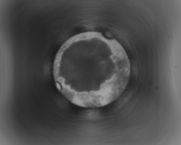 X0000100500275200807111149