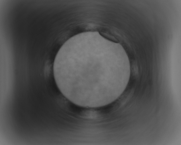 X0000100500276200807111149