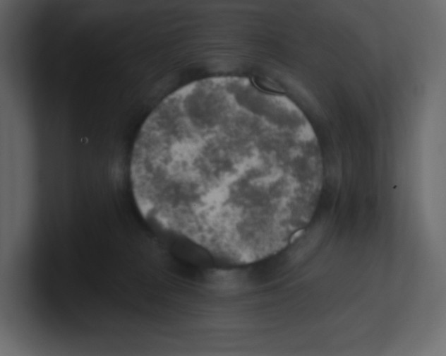 X0000100500277200807111149