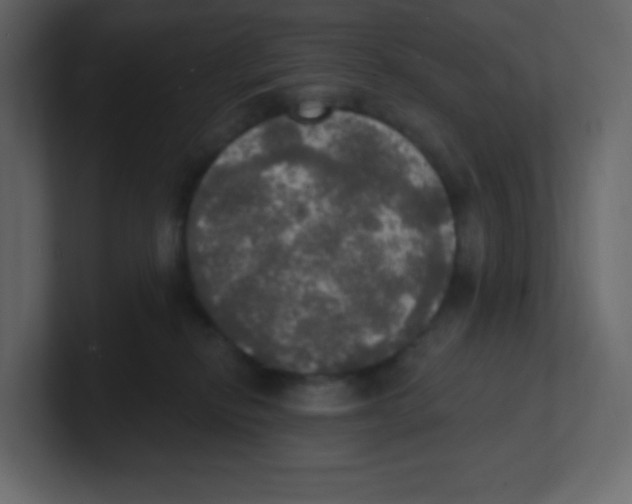 X0000100500278200807111149