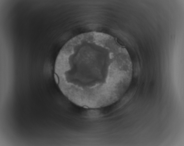 X0000100500279200807111149