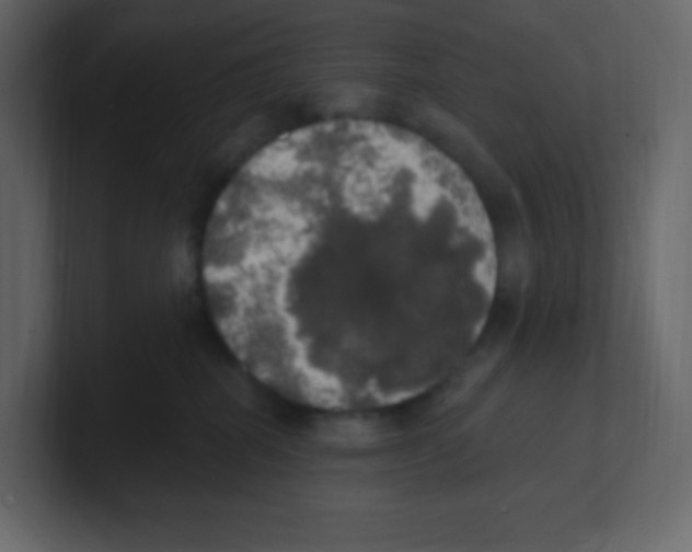 X0000100500282200807111149