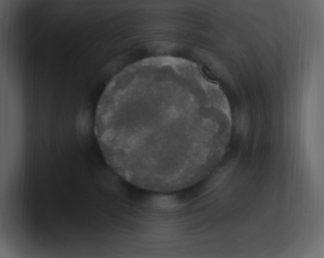 X0000100500283200807111149