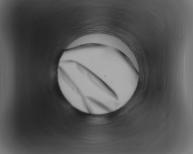 X0000100500284200807111149