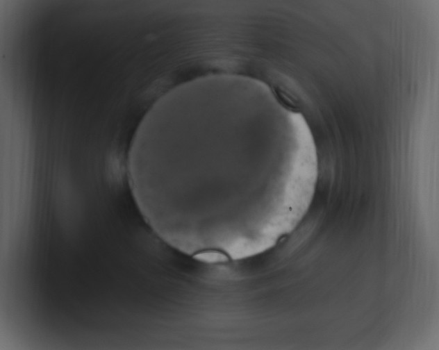 X0000100500285200807111149