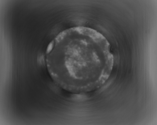 X0000100500286200807111149