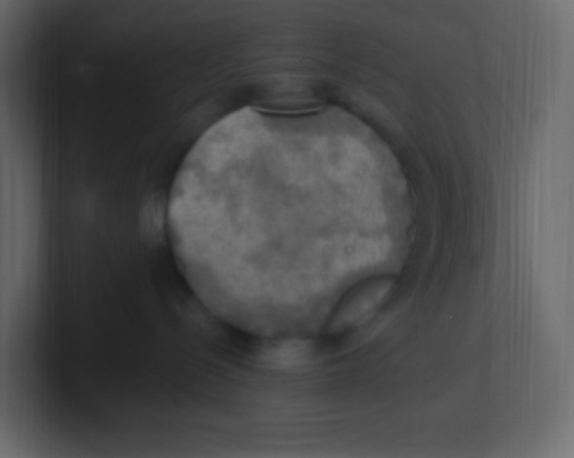 X0000100500288200807111149