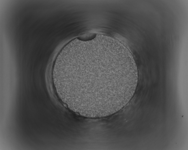 X0000100500289200807111149