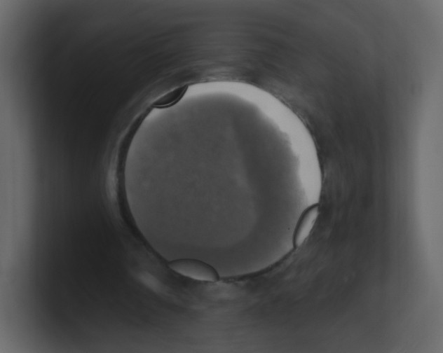 X0000100500290200807111149