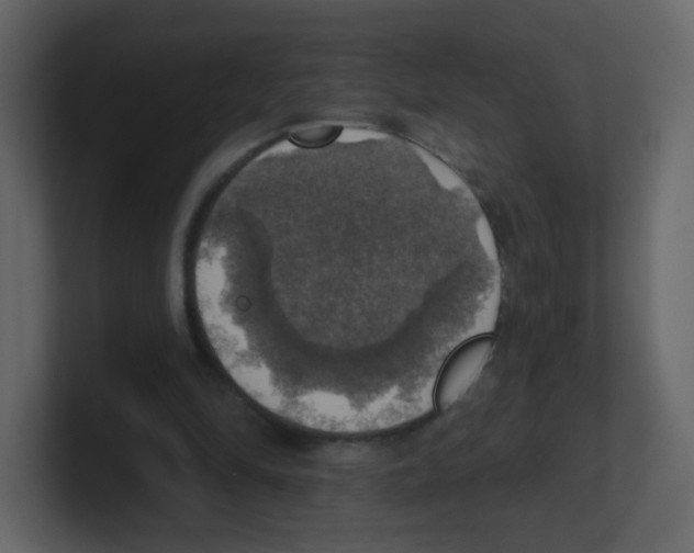 X0000100500294200807111148