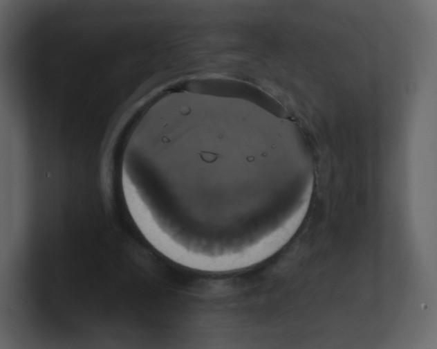 X0000100500295200807111148