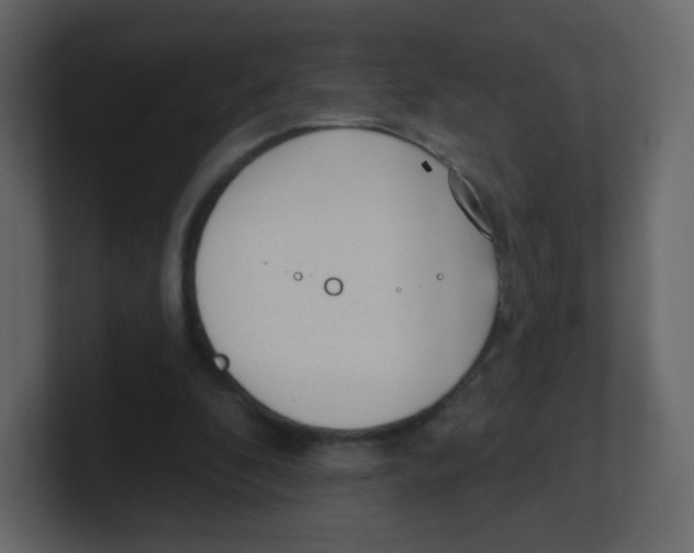 X0000100500296200807111148