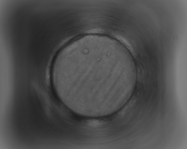 X0000100500298200807111148