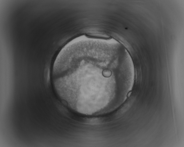 X0000100500301200807111148