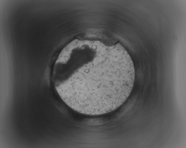 X0000100500303200807111148