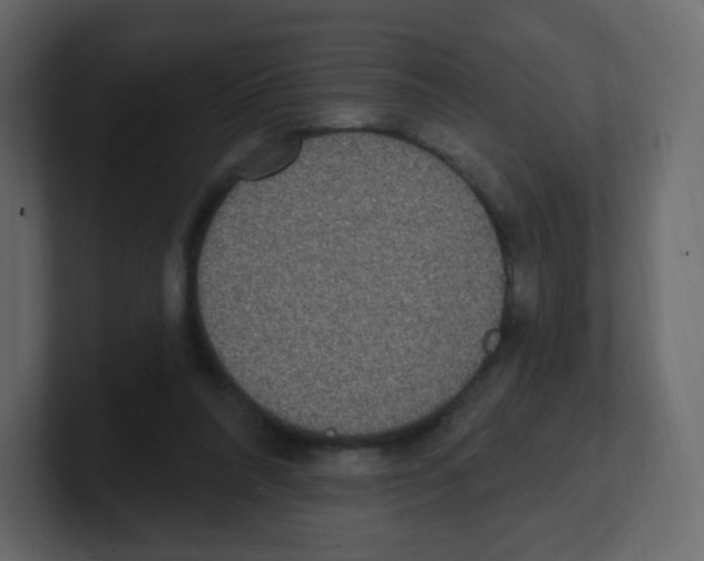 X0000100500304200807111148