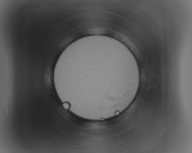 X0000100500305200807111148