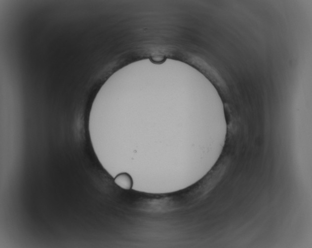 X0000100500306200807111148