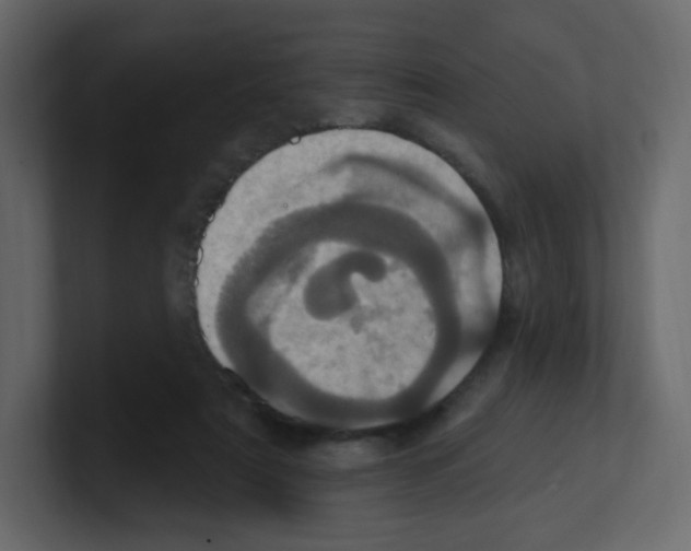 X0000100500307200807111148