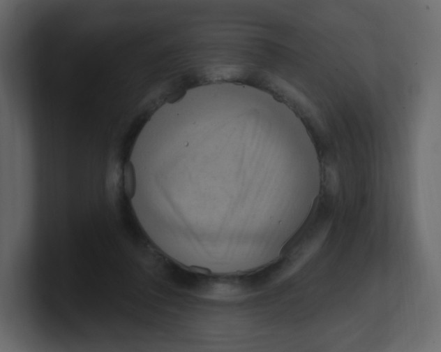 X0000100500308200807111148