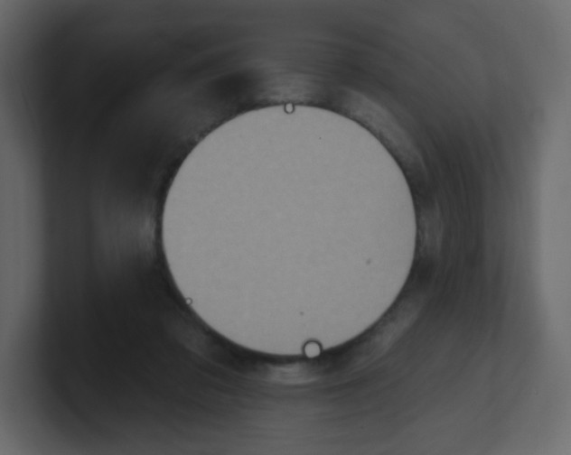 X0000100500309200807111148