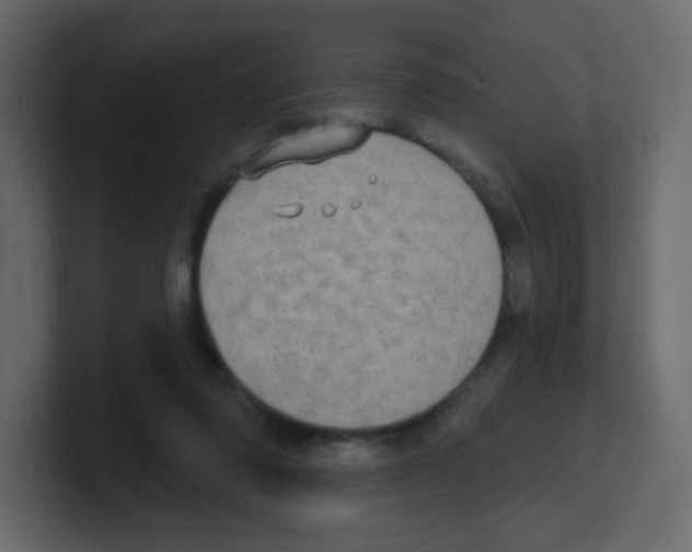 X0000100500310200807111148