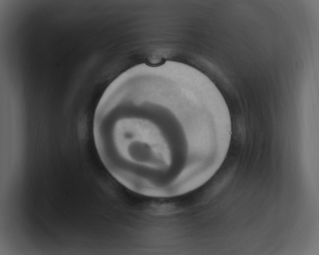 X0000100500311200807111148