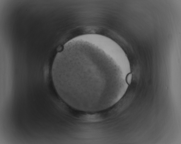 X0000100500314200807111148