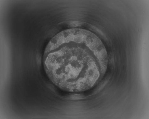 X0000100500315200807111148