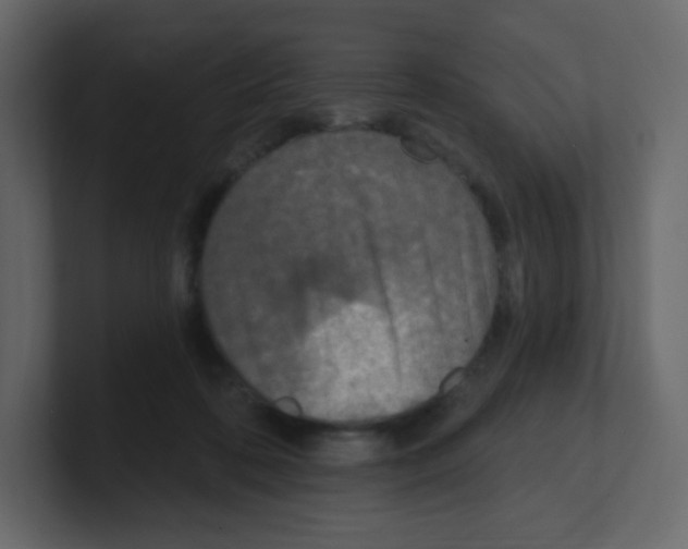 X0000100500316200807111148