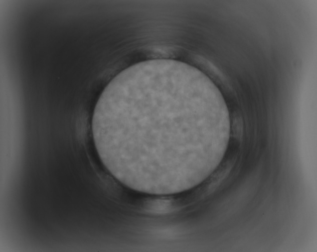 X0000100500318200807111148