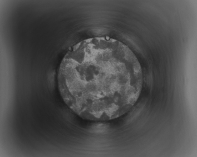 X0000100500319200807111148