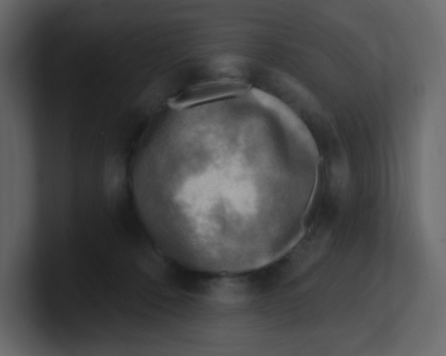 X0000100500320200807111148