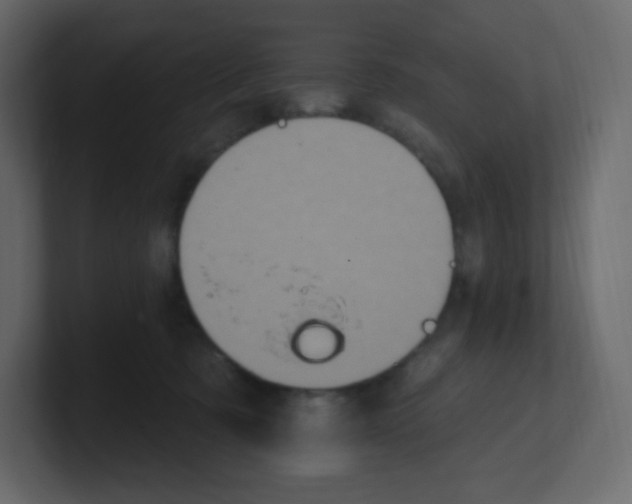 X0000100500321200807111148